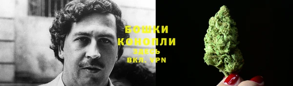 дмт Ладушкин