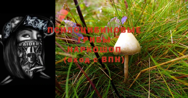 MDMA Лагань