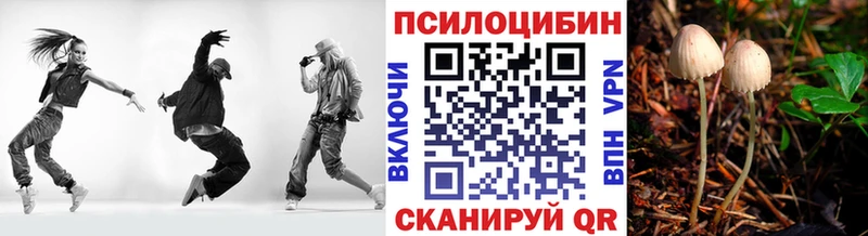 Галлюциногенные грибы Magic Shrooms  Купить  Клин 